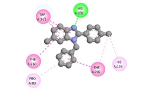 組蛋白去乙酰化酶6通過去乙酰化與泛素化修飾ATG3調(diào)控自噬的新機(jī)制