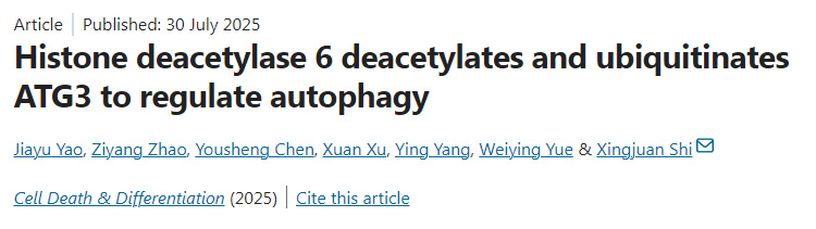 組蛋白去乙?；?通過去乙?；头核鼗揎桝TG3以調節自噬作用