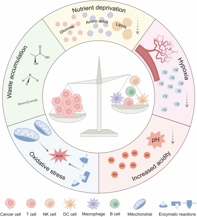 腫瘤微環境中的代謝壓力