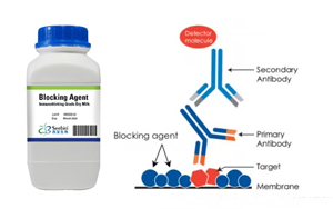 免疫分析試劑中常用封閉劑種類及選擇