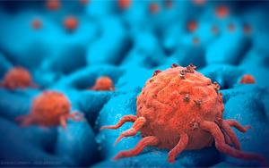 靶向β-連環蛋白共享突變的TCR-T細胞療法：實體瘤治療新突破