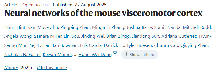 小鼠內臟運動皮層的神經網絡