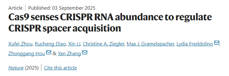 Cas9通過感知CRISPR RNA豐度來調控CRISPR間隔序列的獲取