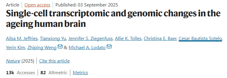人類大腦衰老過程中的單細胞轉(zhuǎn)錄組與基因組變化