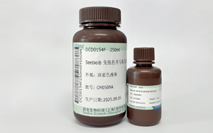 免脫色考馬斯亮藍(lán)染色液，改寫蛋白實驗效率天花板