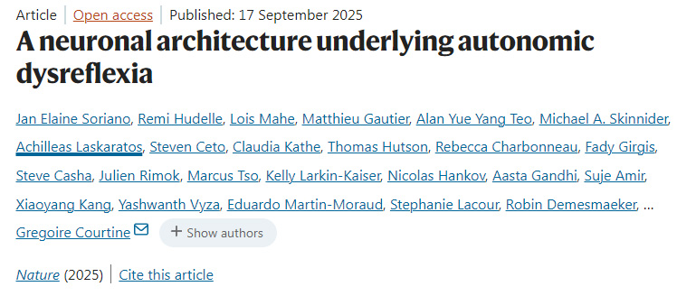 自主神經反射異常背后的神經元結構