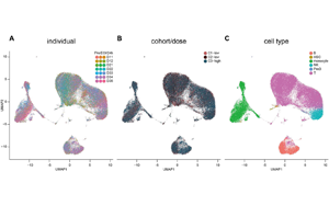 工程化細胞外囊泡（ILB-202）抑制NF-κB的安全性與抗炎作用：一項雙盲、隨機、安慰劑對照的I期臨床試驗