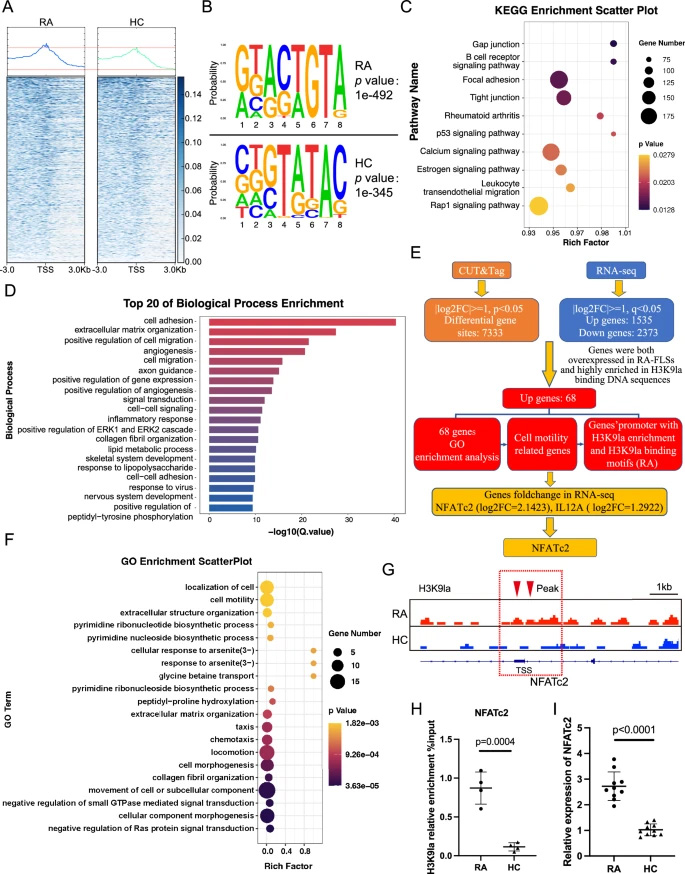 運用CUT&Tag與RNA-seq技術篩選H3K9乳酸化修飾在類風濕關節炎成纖維樣滑膜細胞中調控的靶基因