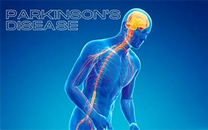 帕金森病多維度病因新視角：細(xì)胞色素P450酶系成為發(fā)病機(jī)制新關(guān)鍵