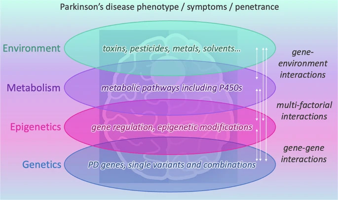 帕金森病的表型/癥狀/外顯率