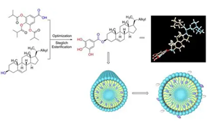 膳食氧化豆甾醇對小鼠膽固醇代謝的調控作用及其與豆甾醇的差異機制研究