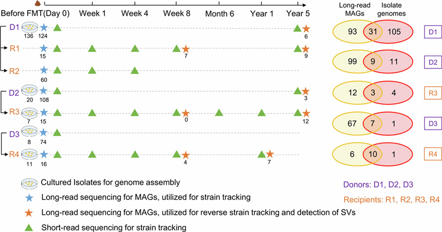 CDI患者樣本采集與糞菌移植研究設(shè)計(jì)闡述