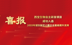 喜報 | 西寶生物“可拉酸”項目成功入圍2025年浦東新區小微企業提升能級項目，喜獲專項支持