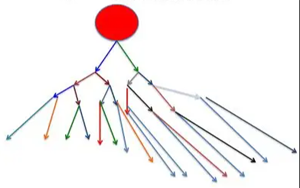 譜系限制性干細胞對人類造血的穩定克隆貢獻揭示造血干細胞命運決定新機制