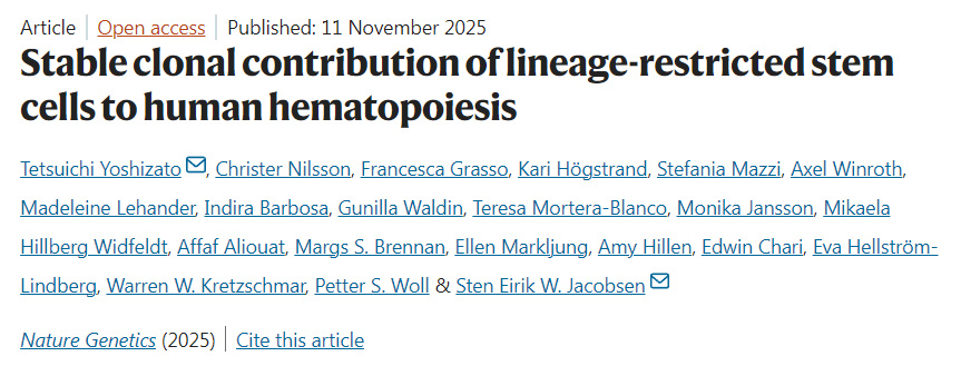 譜系限制性干細胞對人類造血的穩(wěn)定克隆貢獻