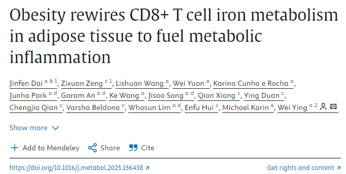 肥胖重塑脂肪組織中CD8+ T細胞的鐵代謝以加劇代謝性炎癥