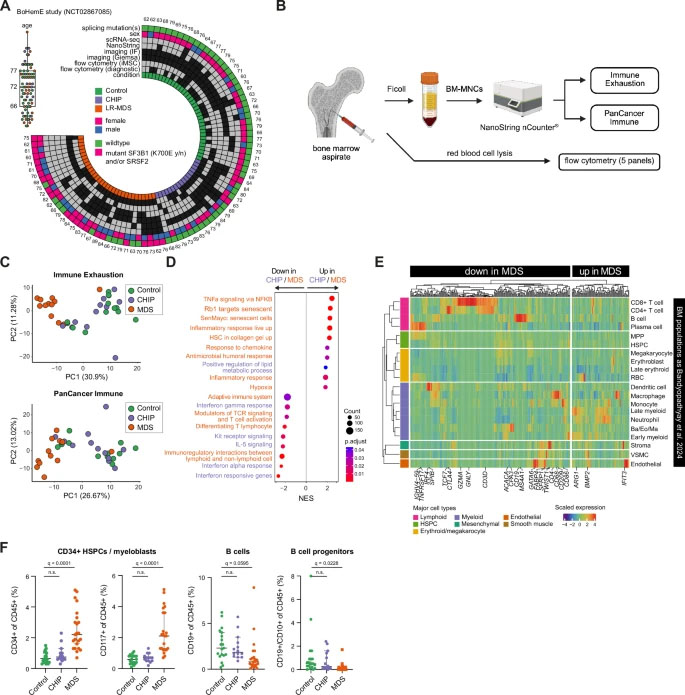 CHIP與MDS整體骨髓炎癥表達譜分析