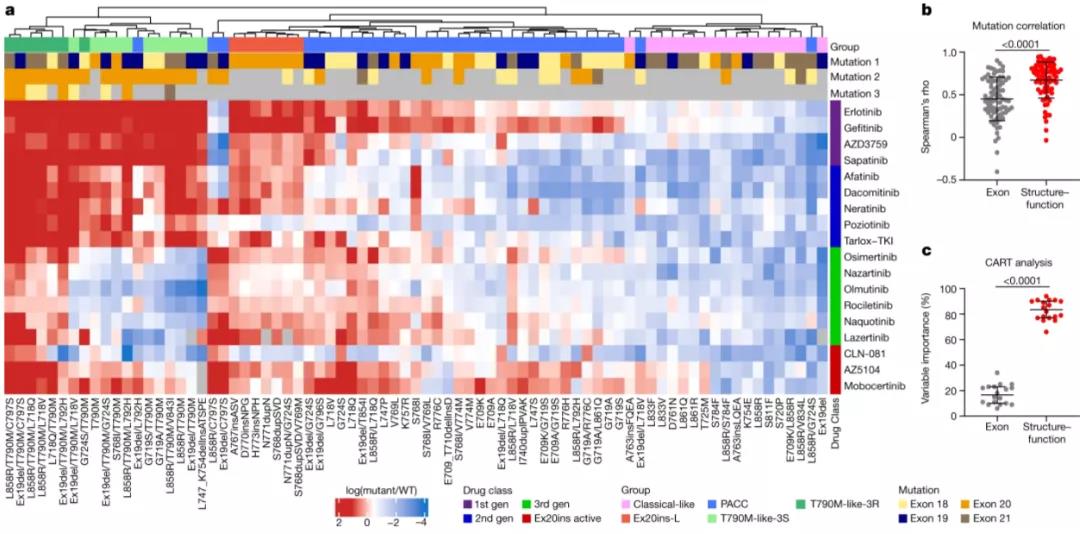 Nature重磅：這種致死率高的惡性腫瘤，或將迎來精準治療時代