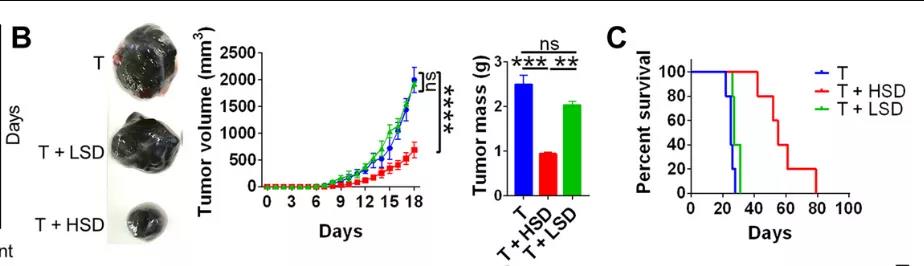 鹽要漲價(jià)了！Science子刊揭示：高鹽飲食或可誘導(dǎo)有效的腫瘤免疫！
