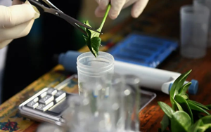 【診斷試劑原料】農藥殘留抗原抗體