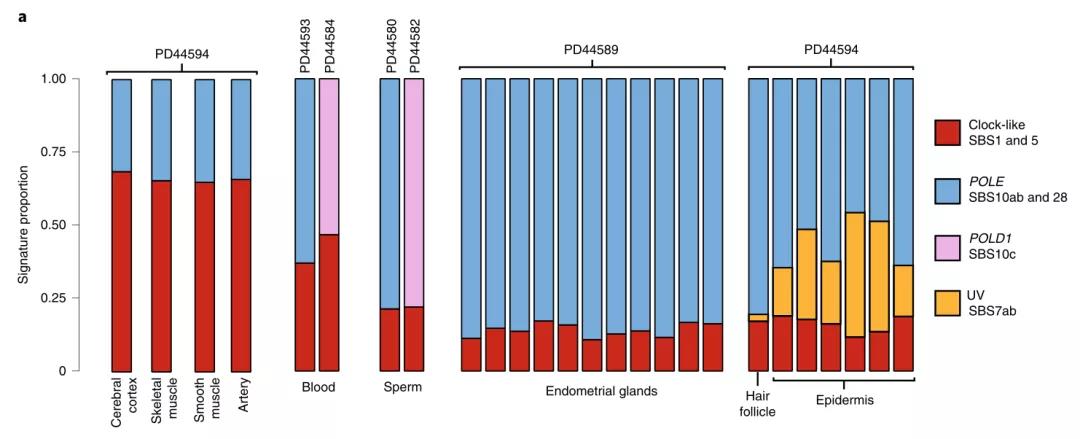 人為什么會得癌癥？《自然》子刊對體細胞、胚胎、精子測序發現重要基因！