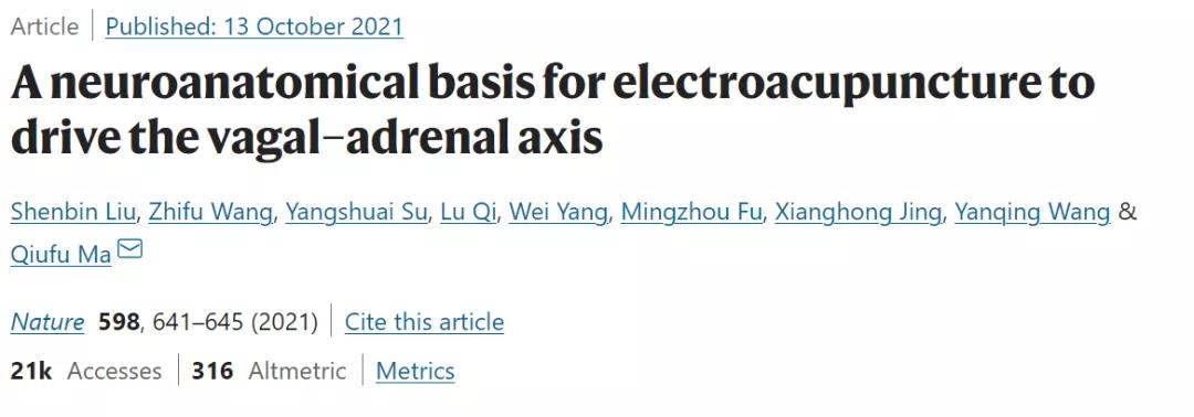 Nature：針灸不再是“玄學”！中美科學家證明針灸的神經(jīng)解剖學原理