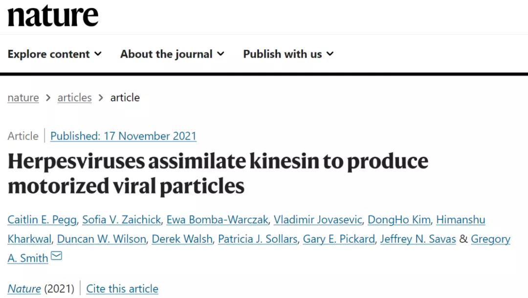 《Nature》：皰疹病毒看似“低調的青銅” ，實則“神秘的強者”