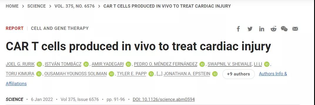 CAR-T技術再升級！無需體外編程T細胞，一針注射修復受損心臟，省錢又省心！