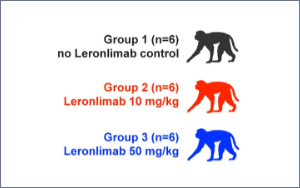 Nature 新研究：硬核預防HIV，艾滋病還會是“不治之癥”嗎？