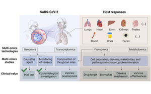 COVID-19的多組學研究：照亮被忽視的角落