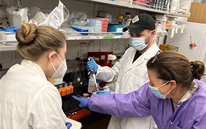 Cell：改善細胞反應與混合免疫