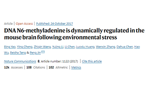 別再emo了，情緒真的能夠改變基因！