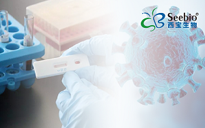 新型冠狀病毒肺炎檢測(cè)整體解決方案