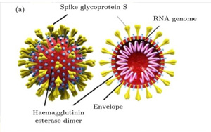 Nature：流感疫苗竟可降低90%的新冠重癥！