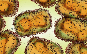 猴痘病毒檢測(cè)原料（涵蓋診斷酶、抗原、抗體），西寶生物助力猴痘檢測(cè)