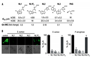 抗生素濫用問題如何解決？Science 新研究揭示抗生素輔助抑制劑的新進展