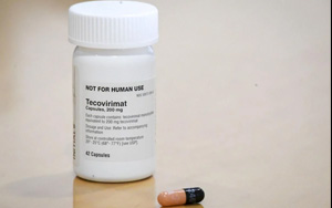 已有特效藥！4國執行“猴痘隔離”，3000年前的病毒恐再次輪回？