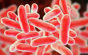 已確診19例！繼新冠和猴痘之后，美國軍團病疫情來勢洶洶