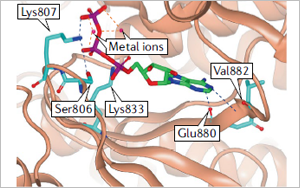 Nature子刊：PI3K抑制劑即將迎來大爆發