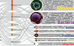 極端高溫只是開始，更致命的警告在后面：58%人類病原體獲得強化