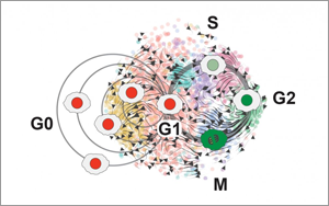 癌細胞殺不完？不如試試將腫瘤“永久休眠”！