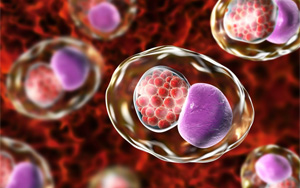 清除人體內衣原體感染的關鍵鑰匙