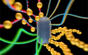 《Nature》創造具有逼真功能的人工細胞！