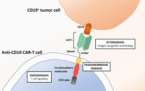 Nature Medicine：按下了自身免疫疾病的重置鍵
