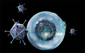 “抗癌利器”療效再提升！賓大研究團隊開發的免疫療法CAR-T再獲突破