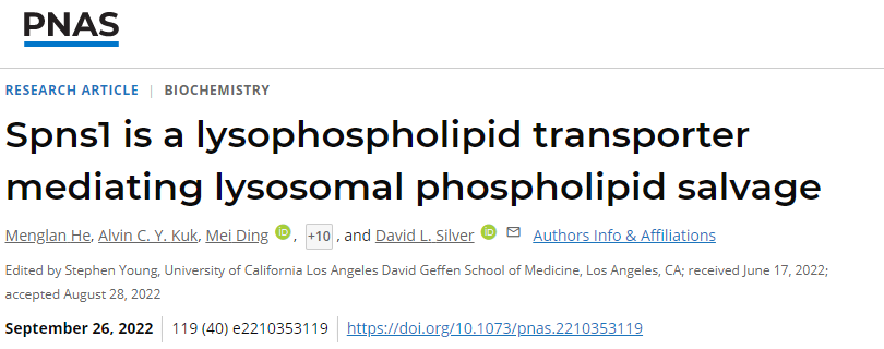 科學家發現溶酶體中的蛋白質參與循環細胞膜中重要的脂質成分以保持細胞健康