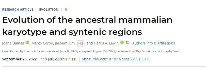 國際研究團隊通過計算重建了哺乳動物共同祖先的基因組組織