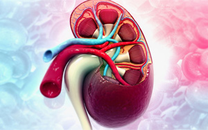 新冠將導致未來出現毀滅性的全民腎衰竭？真相究竟如何