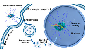 將諾貝爾獎技術與治療技術結合，克服CRISPR一個關鍵限制