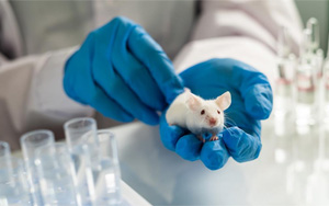 Nature子刊：RNA剪接缺陷導致阿爾茨海默病的機制